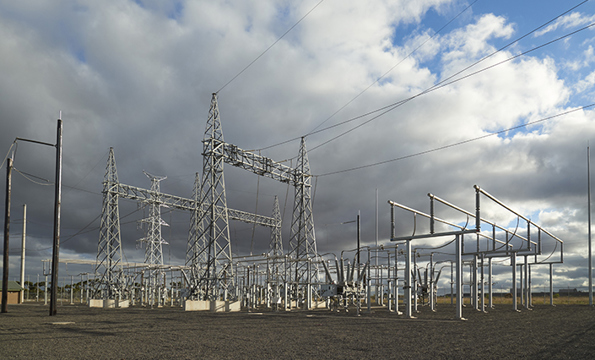 Deer Park Close Up 705X454